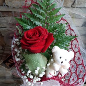 Rosa con Osito