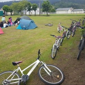 IMG-20201229-WA0022