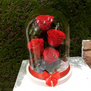 Cúpula 4 Rosas Preservadas