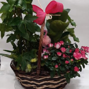 Cesta de Plantas Naturales