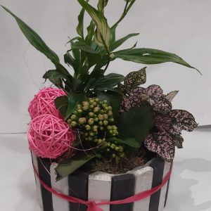 Caja con plantas