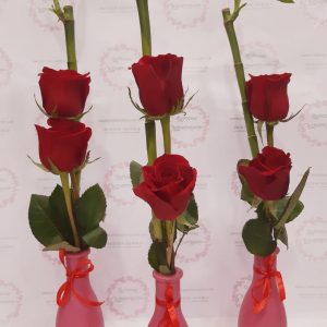 Jarroncitos con Rosas y Bambú