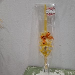 Palmas de coche
