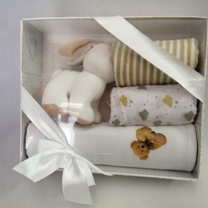 Caja gasas y peluche