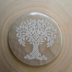 Placa base selenita